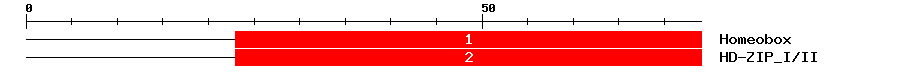 Signature Domain