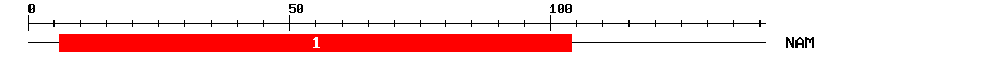 Signature Domain