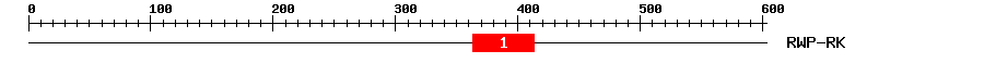 Signature Domain