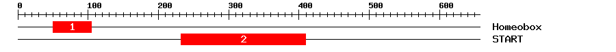 Signature Domain
