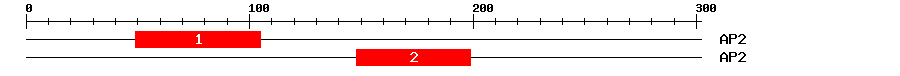 Signature Domain