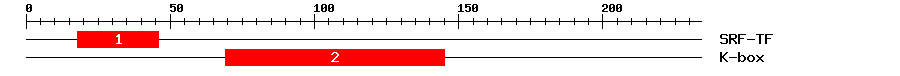 Signature Domain