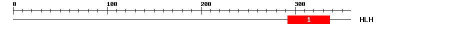 Signature Domain