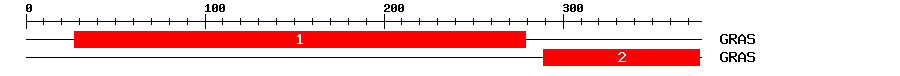 Signature Domain