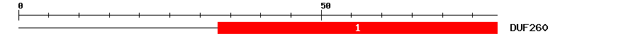 Signature Domain