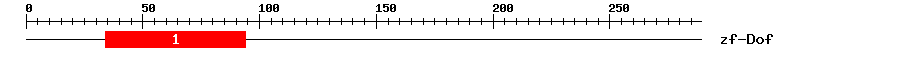 Signature Domain