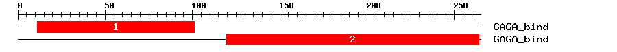 Signature Domain