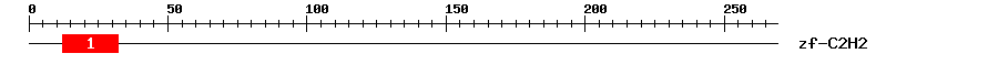 Signature Domain