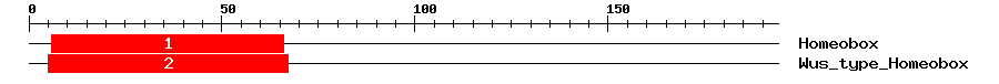 Signature Domain