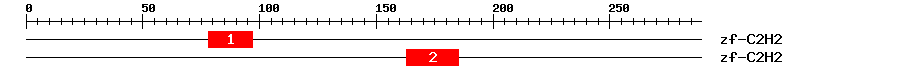 Signature Domain