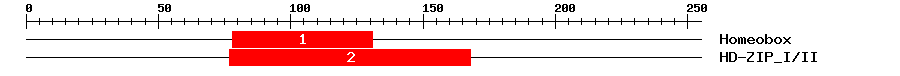 Signature Domain