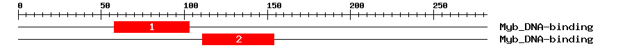 Signature Domain