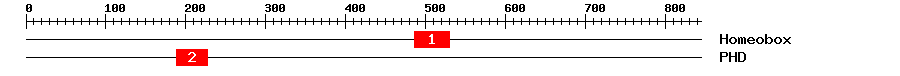 Signature Domain