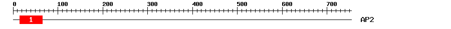 Signature Domain