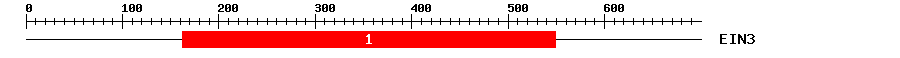 Signature Domain