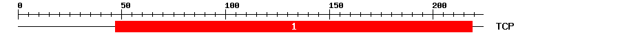 Signature Domain