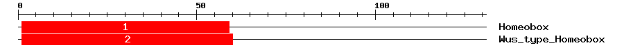 Signature Domain