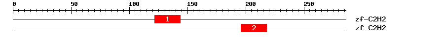 Signature Domain