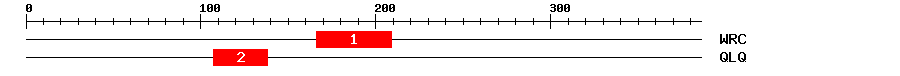 Signature Domain