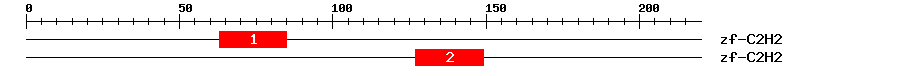 Signature Domain