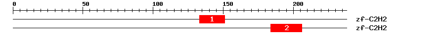 Signature Domain