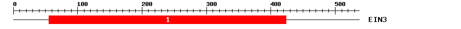 Signature Domain