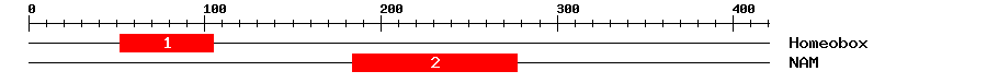 Signature Domain