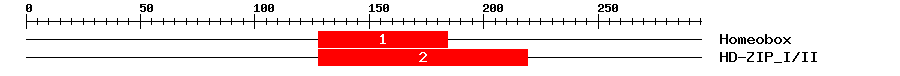 Signature Domain
