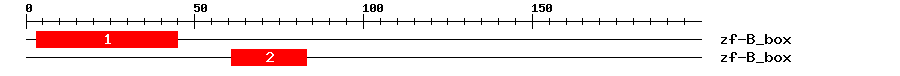 Signature Domain