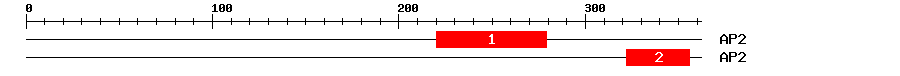 Signature Domain