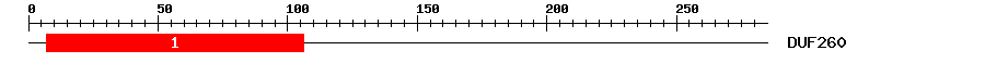 Signature Domain