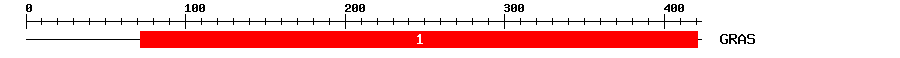 Signature Domain