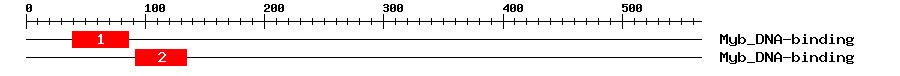 Signature Domain