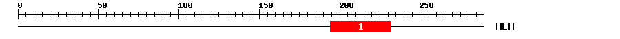 Signature Domain