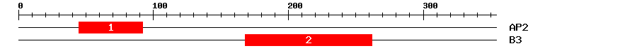 Signature Domain