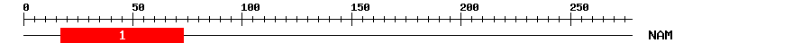 Signature Domain