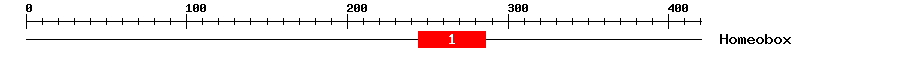 Signature Domain