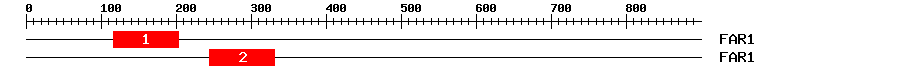 Signature Domain