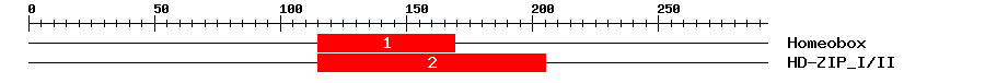 Signature Domain