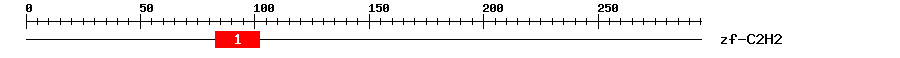 Signature Domain