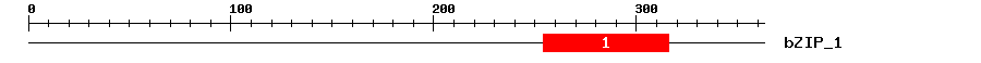 Signature Domain