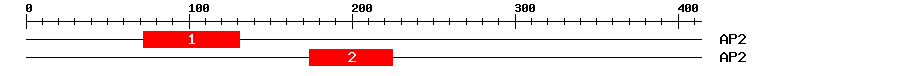 Signature Domain