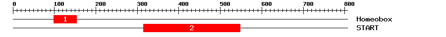 Signature Domain