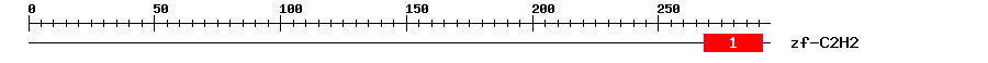 Signature Domain