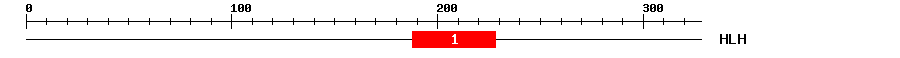 Signature Domain