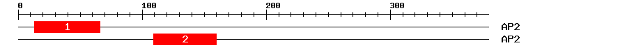 Signature Domain