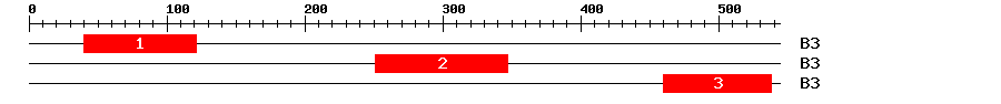 Signature Domain