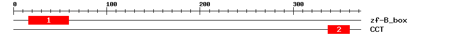 Signature Domain