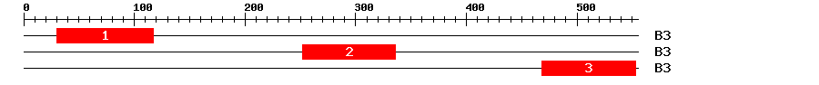 Signature Domain