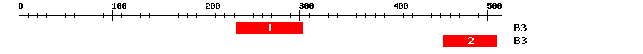 Signature Domain